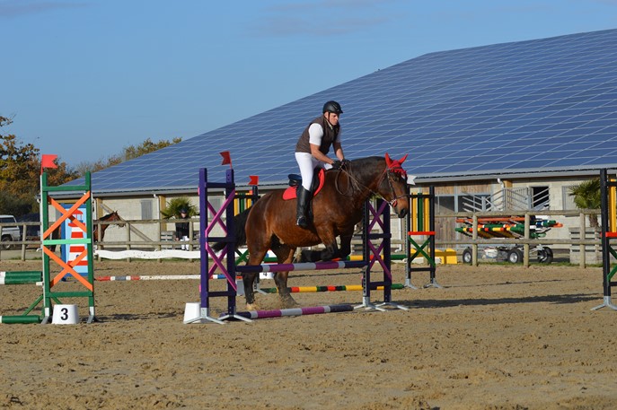 Photos De Cob Normand Et Des Activites De Notre Association